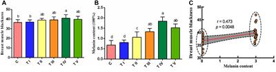 Transcriptome Analysis of the Breast Muscle of Xichuan Black-Bone Chickens Under Tyrosine Supplementation Revealed the Mechanism of Tyrosine-Induced Melanin Deposition